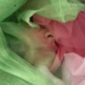 Meet your Posher, Vèrdís